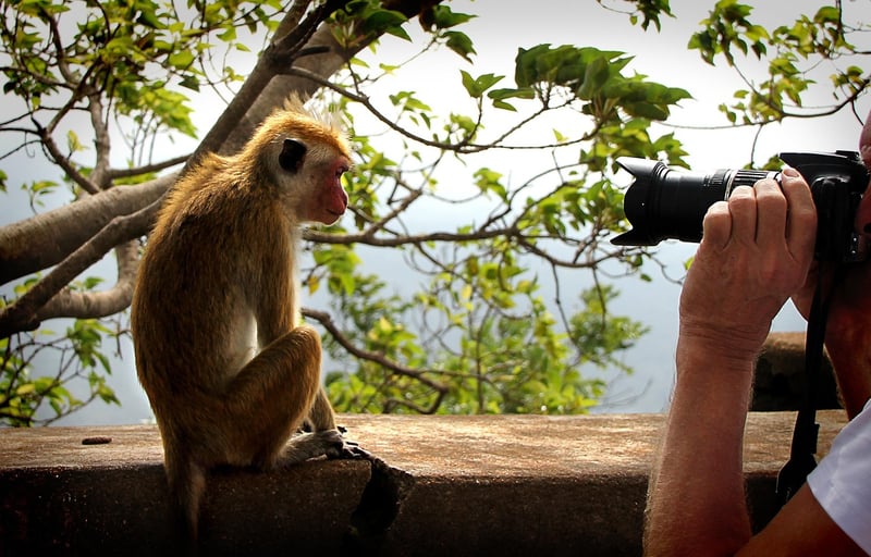 Paparazzi sightings